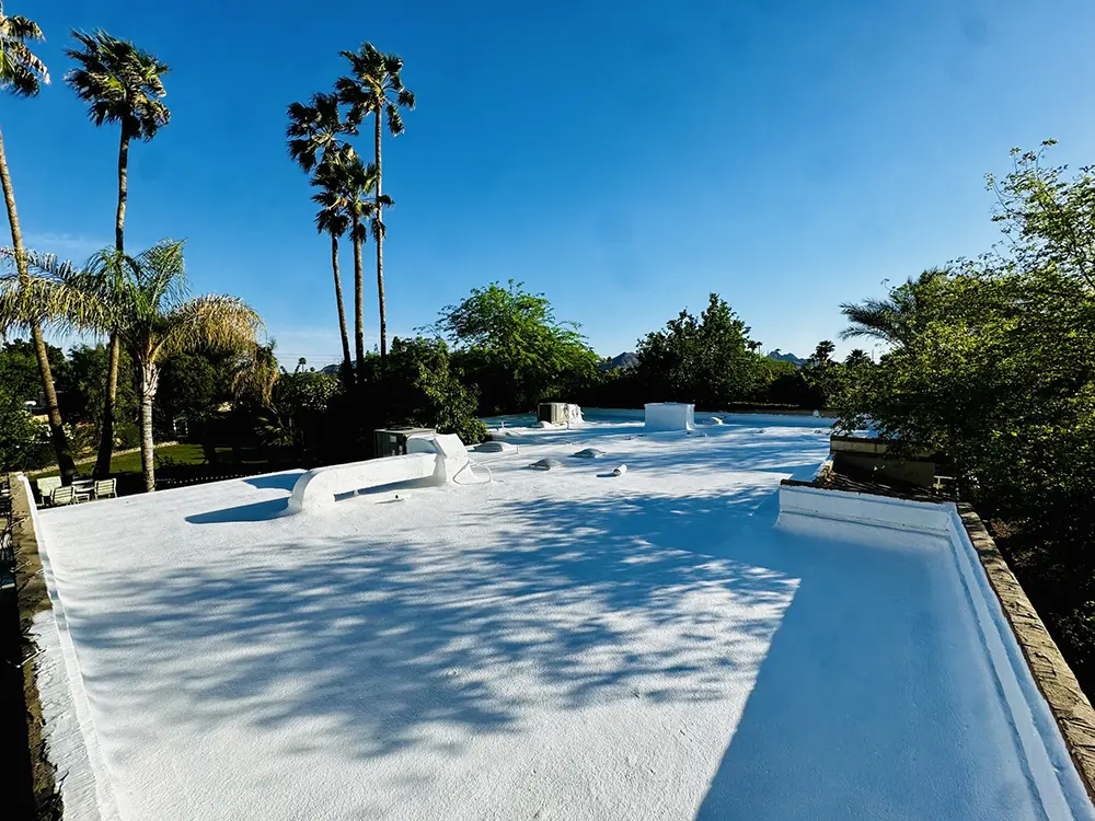 paradise-valley-roof-overview